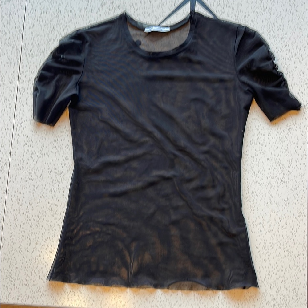Zara Black Fitted Sheer Ruched Short Sleeve Tee